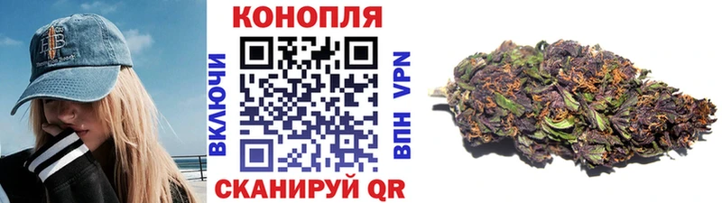 Шишки марихуана план  цены наркотик  Каргополь 
